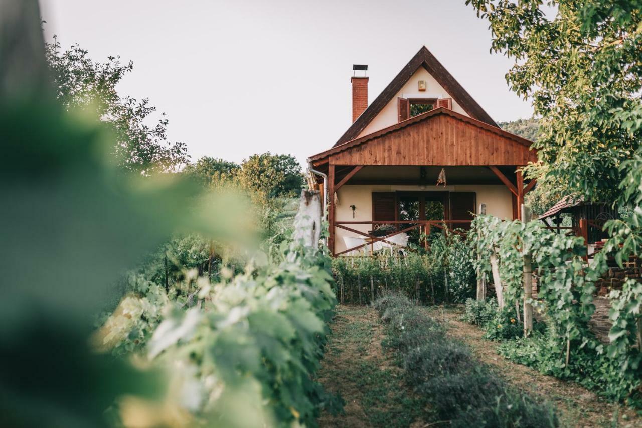 Szent Gyoergy Cottage Hegymagas Bagian luar foto